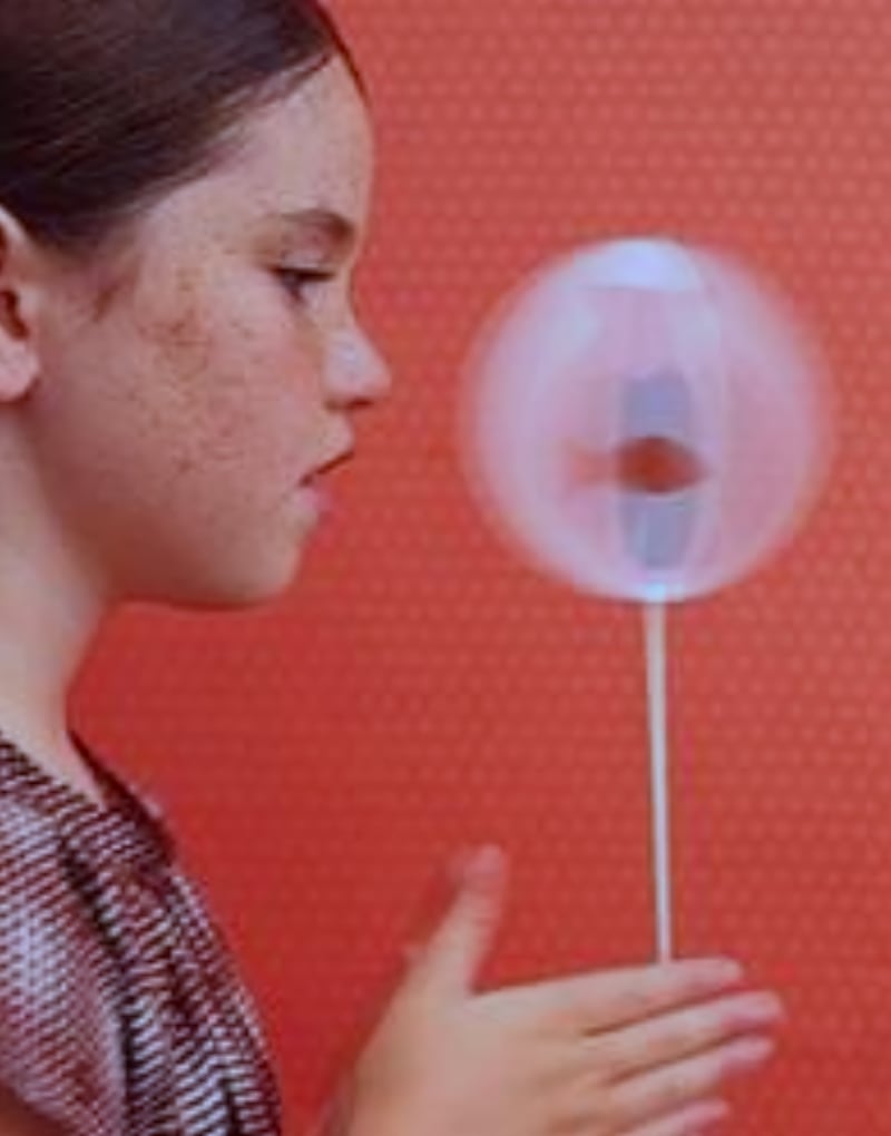 thaumatrope