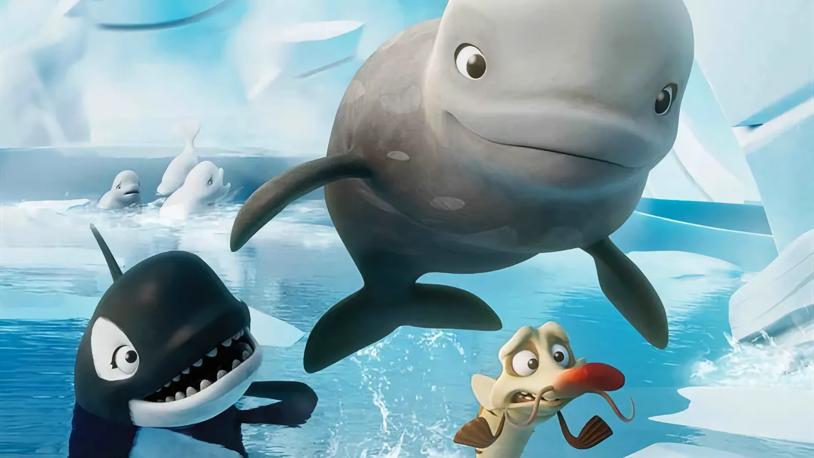 Projection Katak, le brave beluga